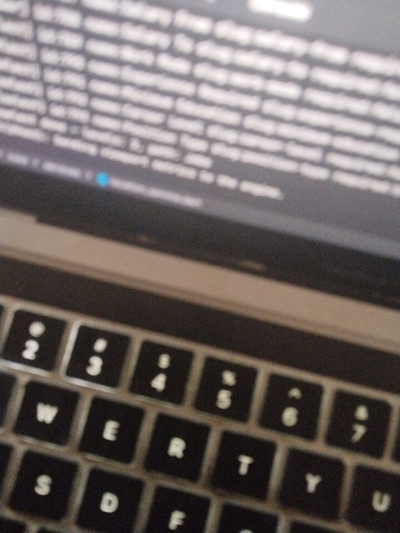 Flutter Developer